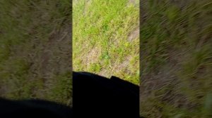 1000004505.mp4