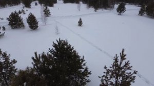 Участок в Лаки Парк зима 2024