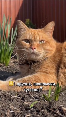 Отличные мини праздники на даче получились 😂💪