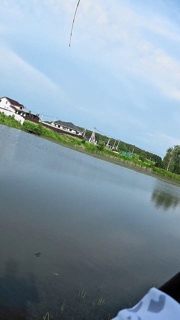 Первая рыбка на Cadence CR5 до 7 грамм