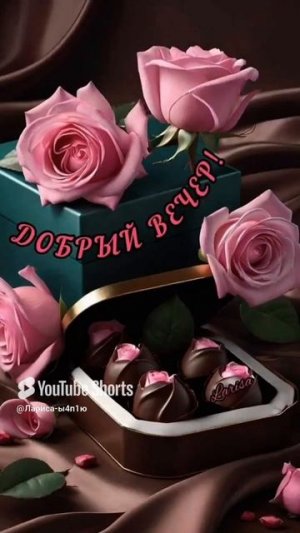 Добрый вечер!