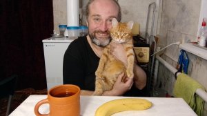 ужин с Рыжулей. кругом одни мошенники. мукбанг. обжор. еда на камеру. диета. шизофрения.