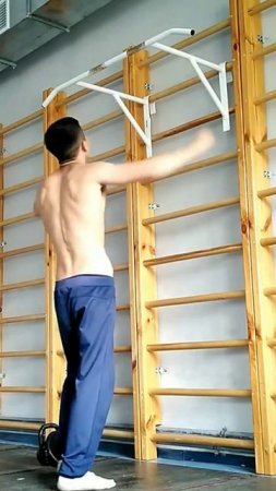 One arm pull up +2,5 kg