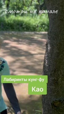 Лабиринт кунг-фу Кунг-фу Мейкю Као цзинь - синъицюань
