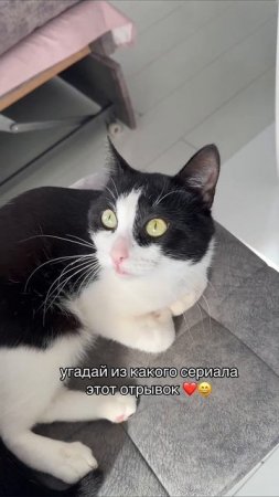 подсказка тут ↖️😂