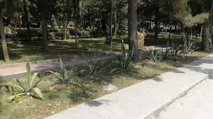 Ольгинка Туапсе. Гуляем по ЛОК ОРБИТА.