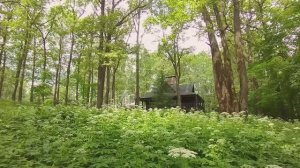 Резиденция у Икшинского водохранилища