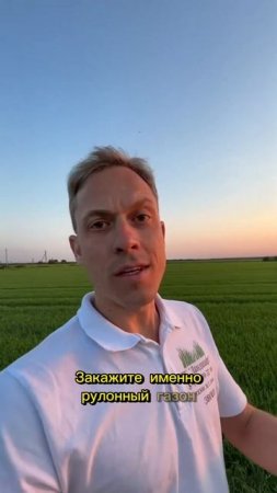 Рулонный газон для любителей красоты и результата «здесь и сейчас» #рулонный газон #ландшафт