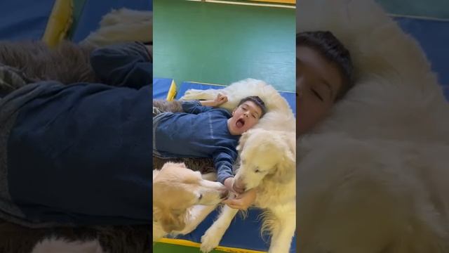 Упражнение "Коврик" на Канис-терапии |БФ Димина Мечта