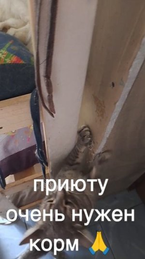 +7985 193 0027 сбер, элплат