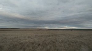 Заброшенный посёлок Ново-Никольский 2-й, Ершовский район.
