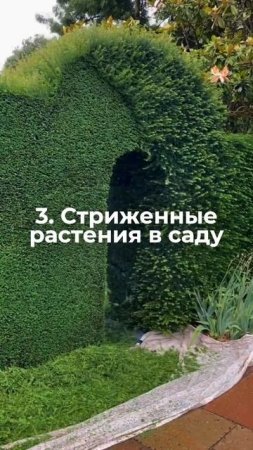 Подробнее в комментариях