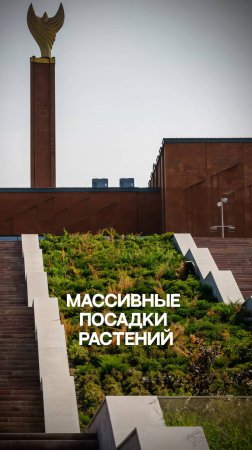 Массивные посадки растений