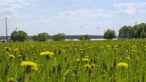 Гранд Клязьма