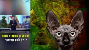 Сводки с фронтОв с Котом Костяном от 30.06.25