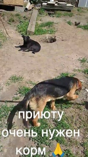 +7985 193 0027