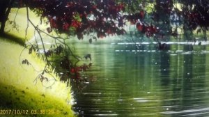 Не простая женщина ЗК-- скандалит  ...Обратились не по имени