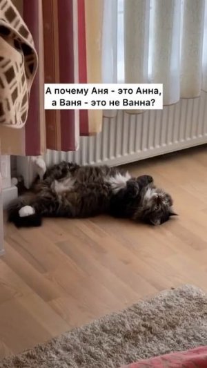 VID-20241103-WA0020.mp4