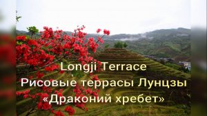 Рисовые террасы Лунцзы. Хребет Дракона. Деревня Тяньтоу. Дажай. Китай.