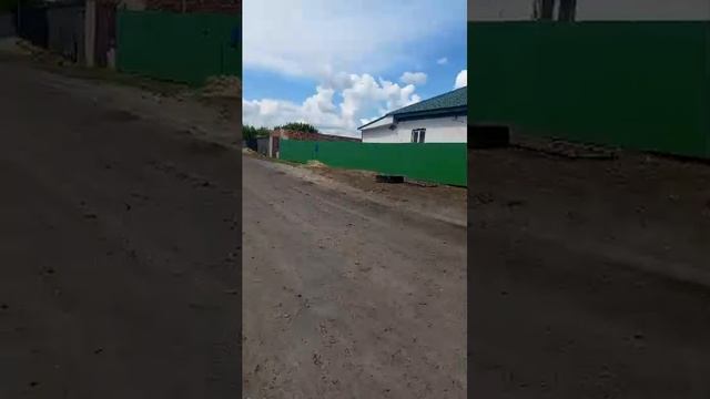 гуляю с моей собакой 2