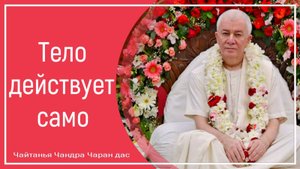 Тело действует само