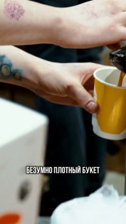 КАК УТКА СТАЛА СИМВОЛОМ КОФЕЙНИ? НЕВЕРОЯТНАЯ ИСТОРИЯ