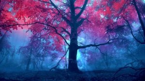 Red forest [1080p60]