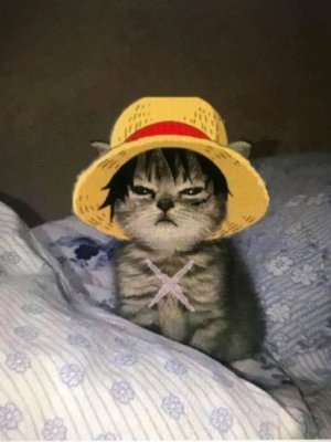 метал жизнь
