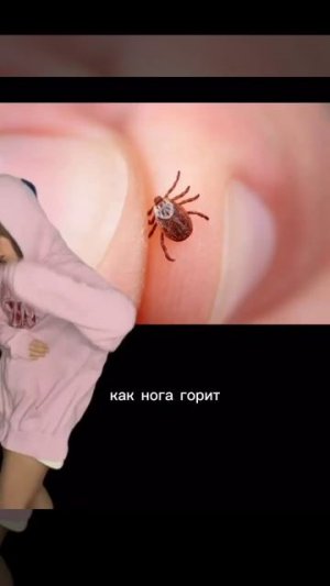 Летний флоу