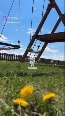 🌸 Лучшие земельные участки в Новосибирской области в нашем посёлке Новоалексеевск!