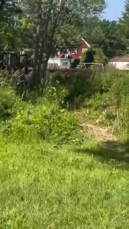 Работают профессионалы