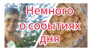Немного о событиях дня