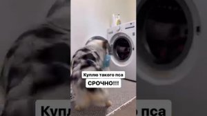 1000024991.mp4