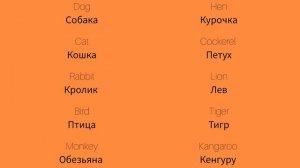 Животные 1 Animals 1