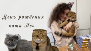 День рождения кота Лео | Распаковка подарков | Обзор на фонтанчик-поилку
