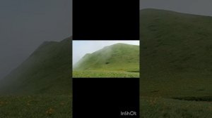 1000149536.mp4