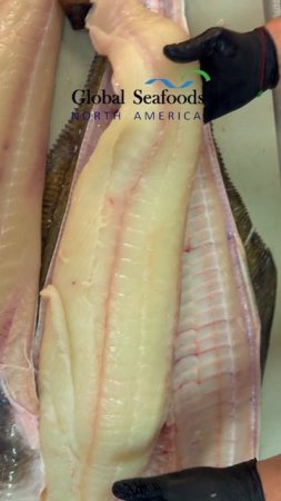 🎣 Свежие филе тихоокеанского палтуса – уже в продаже!