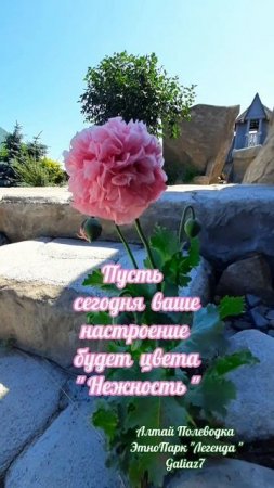 Доброе утро Хорошего дня