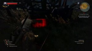 Возвращение в Кривоуховы топи ➤ The Witcher 3_ Wild Hunt #21