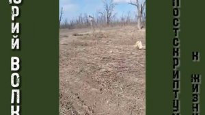 ЮРИЙ ВОЛК ПОСТСРИПТУМ К ЖИЗНИ Через год после смерти