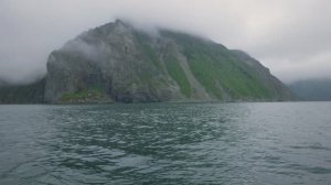 4к Дождливая Камчатка