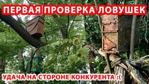 ПЕРВАЯ ПРОВЕРКА ЛОВУШЕК 2025.