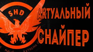 Актуальная сборка Снайпера лето 2025 Горячая штучка The Division 2