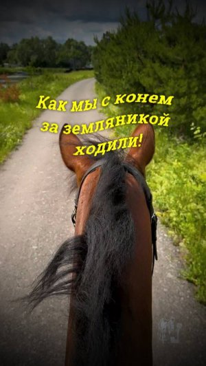 Как мы с конем за земляникой ходили!