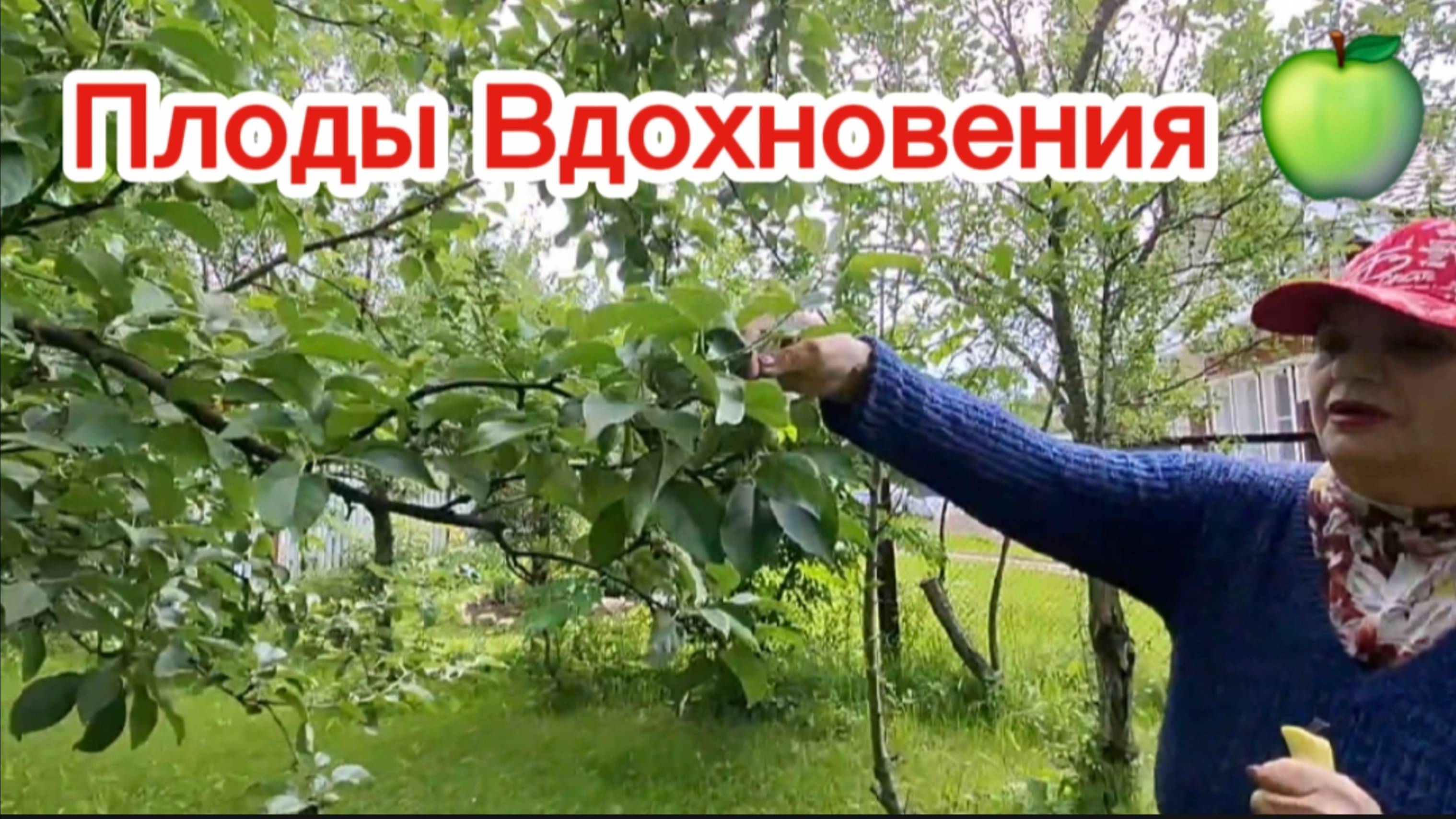 Садовые Угощения: Плоды Вдохновения 🍏"