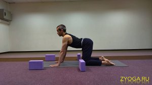 Чатуранга Дандасана на блоках / Chaturanga Dandasana with blocks