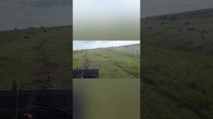 Мини пресс подборщик и Т 25, продолжаем убирать сено