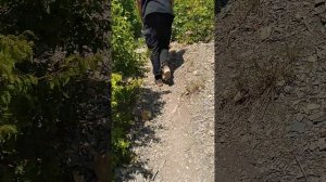 Забираемся с сыном на гору в Большом Утрише на Чёрном море