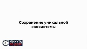 Какой сегодня день