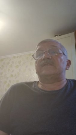 Лингвистические партизаны